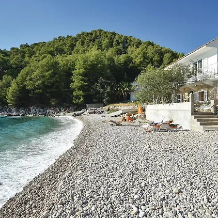 Pet Friendly In With Kitchen Holiday home